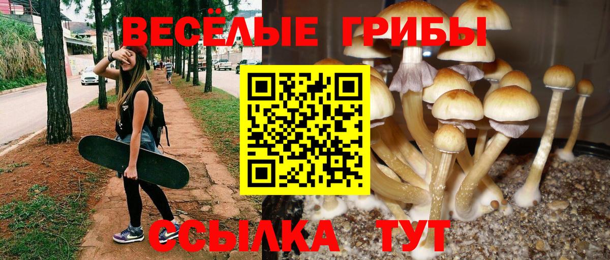 Галлюциногенные грибы мицелий Электрогорск