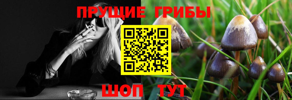 Галлюциногенные грибы мухоморы  Псилоцибиновые грибы мухоморы  Электрогорск  Вход с VPN 