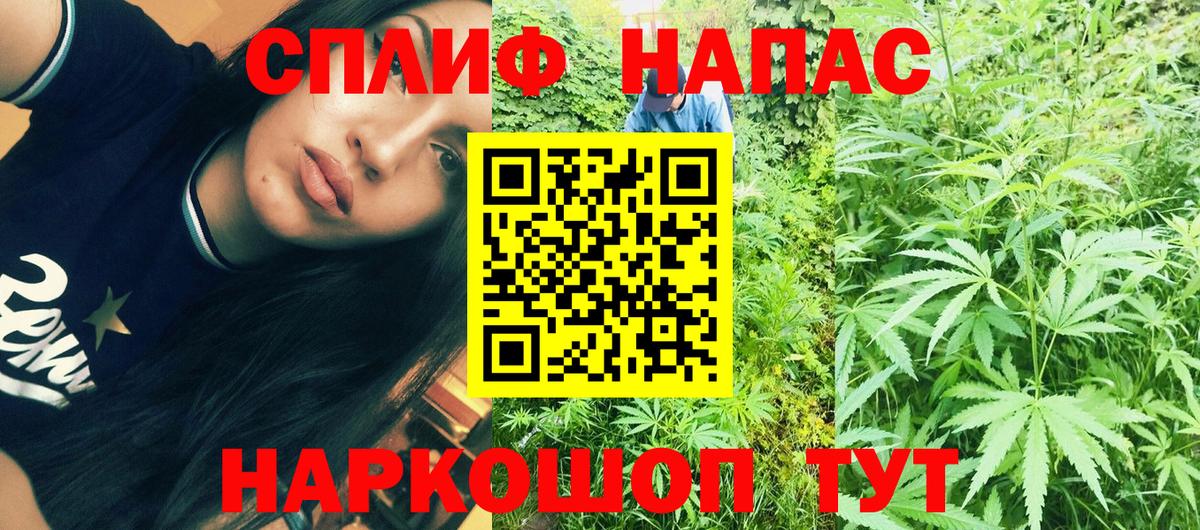 Каннабис OG Kush  Конопля ГИДРОПОН  Электрогорск  Вход с VPN  Шишки марихуана White Widow 